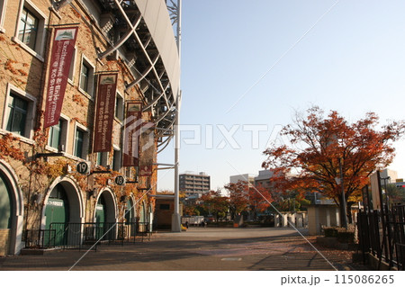 甲子園球場と紅葉 甲子園球場と紅葉 115086265