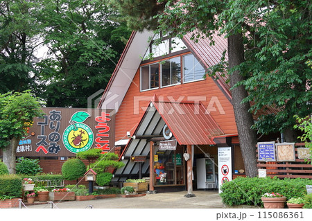 ありのみコース　アドベンチャー スポーツ センター　アスレチック40種類　千葉県市川市大町 115086361