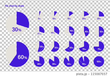 円チャートのバリエーションセット 115087037