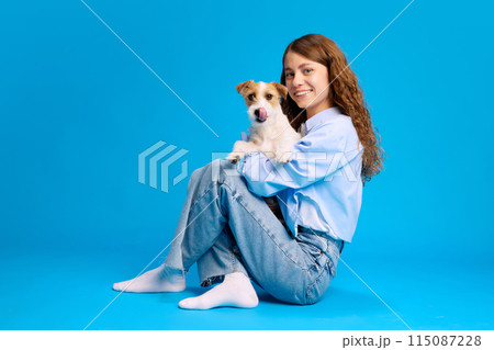 Portrait of young woman sits with cute purebred jack Russel puppy against vibrant blue background, enjoying moment. 115087228