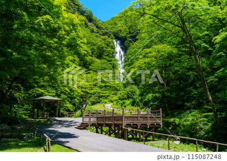 新緑の神庭の滝 115087248