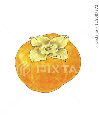 柿 柿 115087272