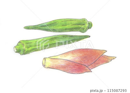 オクラとミョウガ オクラとミョウガ 115087293