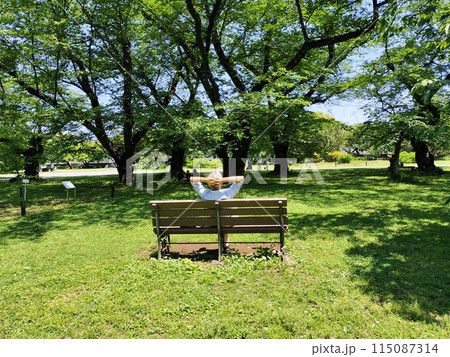 緑豊かな公園のベンチに座る人 緑豊かな公園のベンチに座る人 115087314