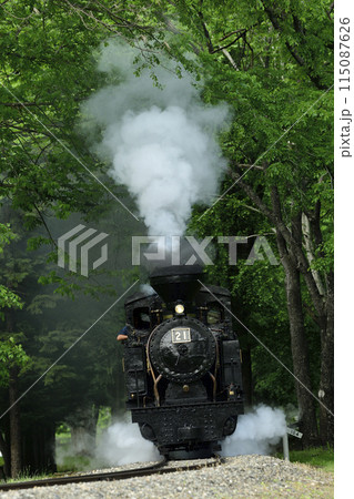 丸瀬布の森を走る保存鉄道の小さな蒸気機関車雨宮21号 115087626