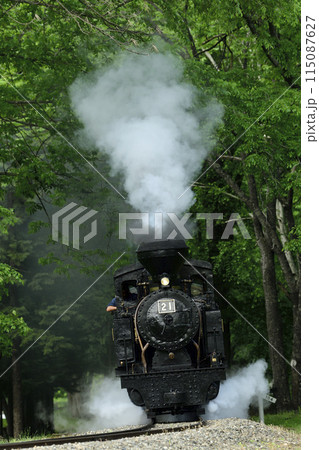 丸瀬布の森を走る保存鉄道の小さな蒸気機関車雨宮21号 115087627