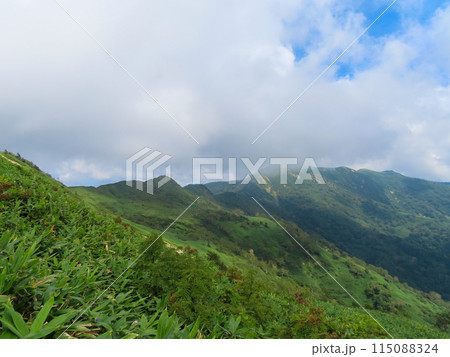 長野県群馬県新潟県の境にある白砂山へ向かう山の稜線 長野県群馬県新潟県の境にある白砂山へ向かう山の稜線 115088324
