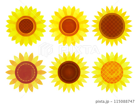 水彩タッチのひまわりの花ベクターイラスト バリエーション 115088747