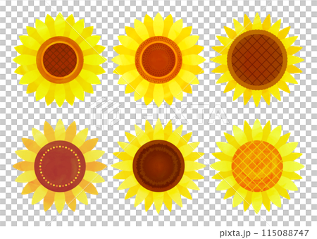水彩タッチのひまわりの花ベクターイラスト バリエーション 115088747