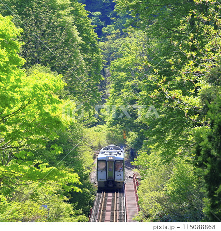 新緑の只見線 115088868