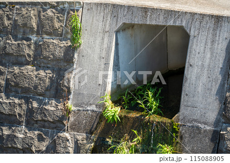 水路 水路敷き 水路 水路敷き 115088905