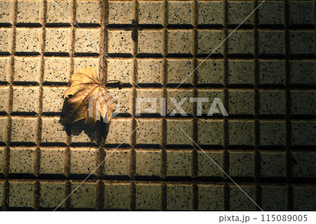 Detail of a leaf on a white granite mosaic grid Detail of a leaf on a white granite mosaic grid 115089005
