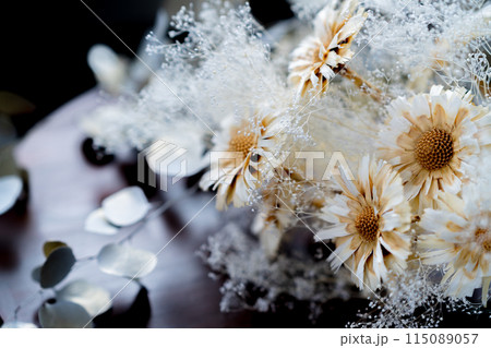 おしゃれなドライフラワーの背景素材 115089057