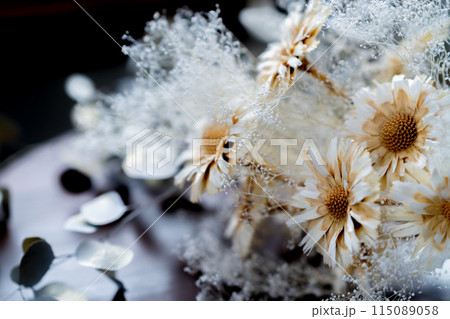 おしゃれなドライフラワーの背景素材 115089058