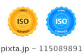 ISO 14001 Quality Management Certification Badge Gold and blue. Vector illustration 115089891