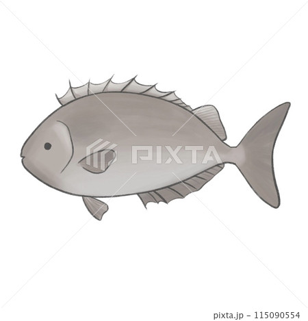 魚_アイゴ 115090554
