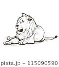 Lion lying engraving vector illustration.  115090590