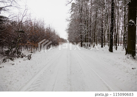 Snow alley road in winter forest. 115090683