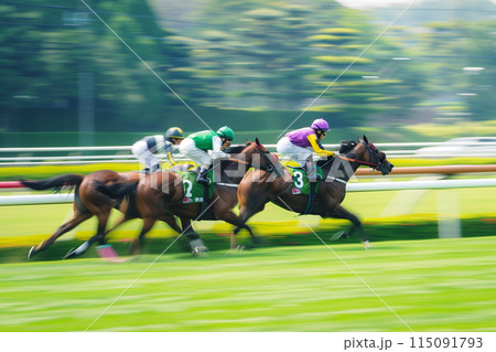競馬 115091793