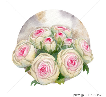 watercolor drawing of flowers - ranunculus on a watercolor background. 115093578