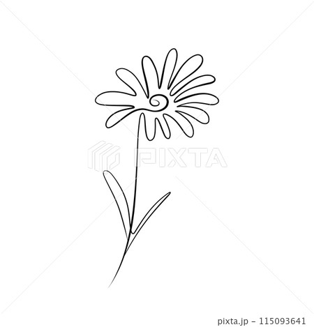One continuous line drawing. Printable decorative poster common daisy flower concept chamomile One continuous line drawing. Printable decorative poster common daisy flower concept chamomile 115093641