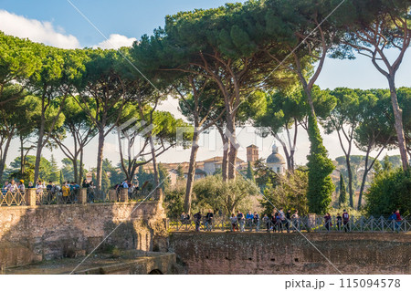 Ruins on the Palatine hill in Rome, Italy Ruins on the Palatine hill in Rome, Italy 115094578