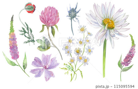 Set with summer flowers Set with summer flowers 115095594