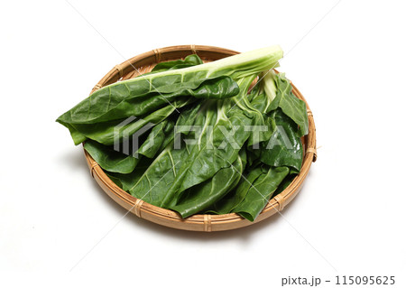 白背景の笊にのせたフダンソウ 115095625