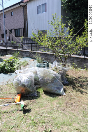 庭の草むしり　雑草と袋 115095849