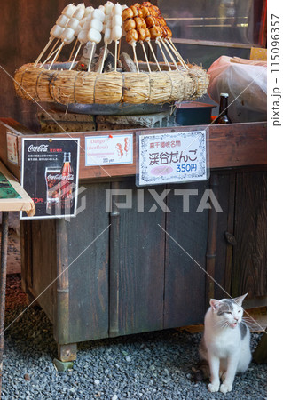 観光地のだんご 猫 115096357