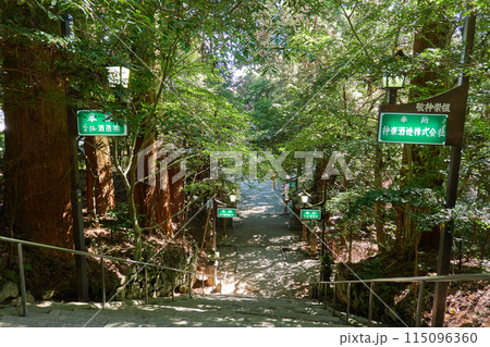 荒立神社 高千穂 参道 荒立神社 高千穂 参道 115096360