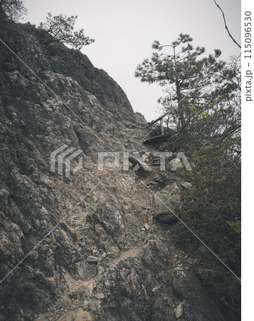 登山道の岩場を行く 115096530