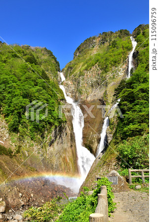 新緑の称名滝と虹 115096759