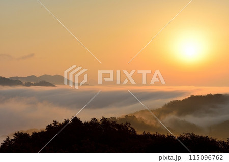 田之原展望台からの美郷町の両国おろし(雲海) 田之原展望台からの美郷町の両国おろし(雲海) 115096762