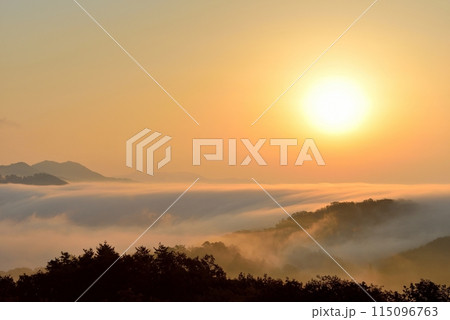 田之原展望台からの美郷町の両国おろし(雲海) 田之原展望台からの美郷町の両国おろし(雲海) 115096763