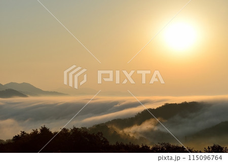 田之原展望台からの美郷町の両国おろし(雲海) 田之原展望台からの美郷町の両国おろし(雲海) 115096764