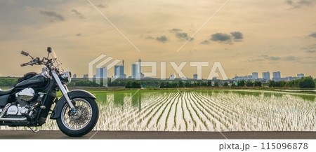 「埼玉県」水田とアメリカンバイク さいたま市 「埼玉県」水田とアメリカンバイク さいたま市 115096878