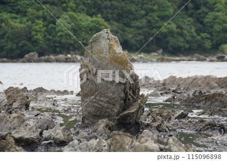 江田海岸 115096898