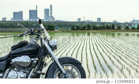 「埼玉県」見沼田んぼとアメリカンバイク さいたま市 「埼玉県」見沼田んぼとアメリカンバイク さいたま市 115096921