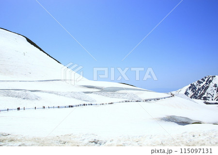 雪の大谷ウォーク 雪の大谷ウォーク 115097131