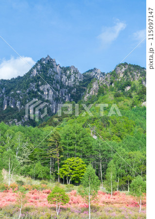 「山梨県」瑞牆山自然公園より春の瑞牆山を望む 「山梨県」瑞牆山自然公園より春の瑞牆山を望む 115097147