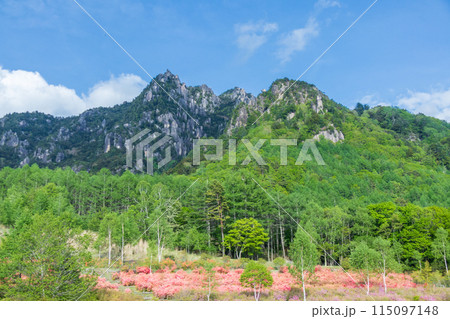 「山梨県」瑞牆山自然公園より春の瑞牆山を望む 「山梨県」瑞牆山自然公園より春の瑞牆山を望む 115097148