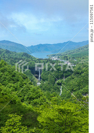 「栃木県」明知平展望台より望む新緑の中禅寺湖と華厳の滝・日光 115097561