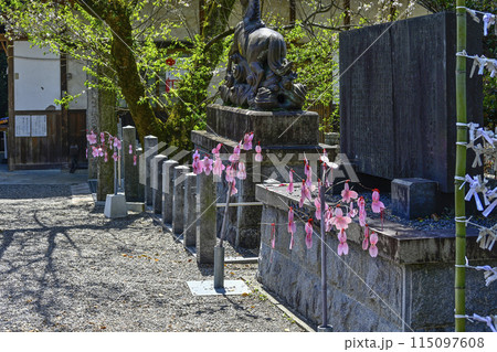 尾張五社 針綱神社「さくらみくじ」 115097608