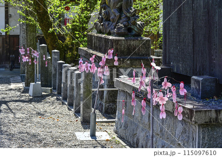 尾張五社 針綱神社「さくらみくじ」 115097610