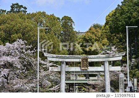 尾張五社 針綱神社 尾張五社 針綱神社 115097611