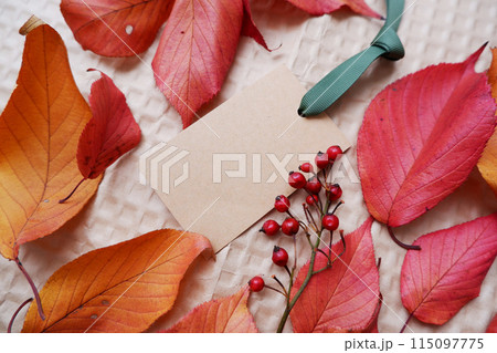 カラフルな落ち葉と赤い実と空白のカード カラフルな落ち葉と赤い実と空白のカード 115097775