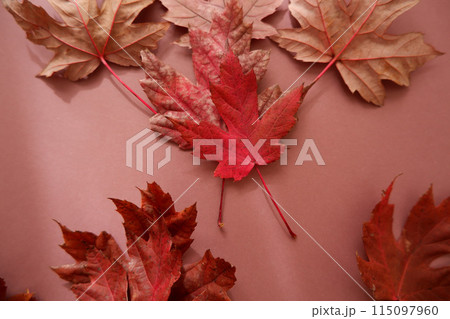 赤い落ち葉、赤いメープリーフの背景素材 赤い落ち葉、赤いメープリーフの背景素材 115097960