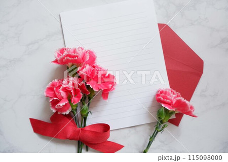 美しいカーネーションの花束と空白のカード 美しいカーネーションの花束と空白のカード 115098000