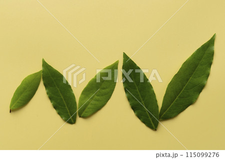 ローリエ　月桂樹の葉 115099276